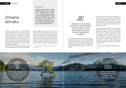 Future of food, raport, folder reklamowy,  layout, ulotki, logo, web design, identyfikacja wizualna, corporate identity, grafik, graphic designe