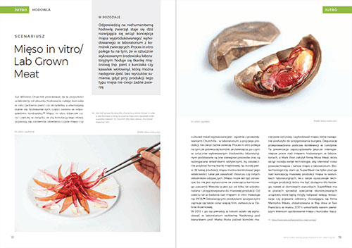 Future of food, raport, folder reklamowy,  layout, ulotki, logo, web design, identyfikacja wizualna, corporate identity, grafik, graphic designe