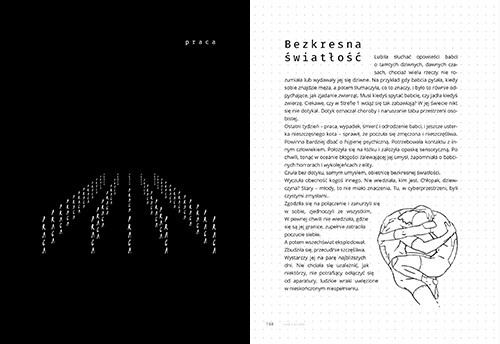 Far future, raport, layout, ulotki, logo, web design, identyfikacja wizualna, corporate identity, grafik, graphic designer